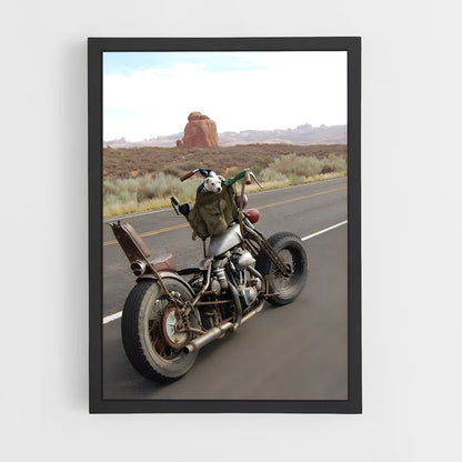 ap-sportster-1 cadre Noir