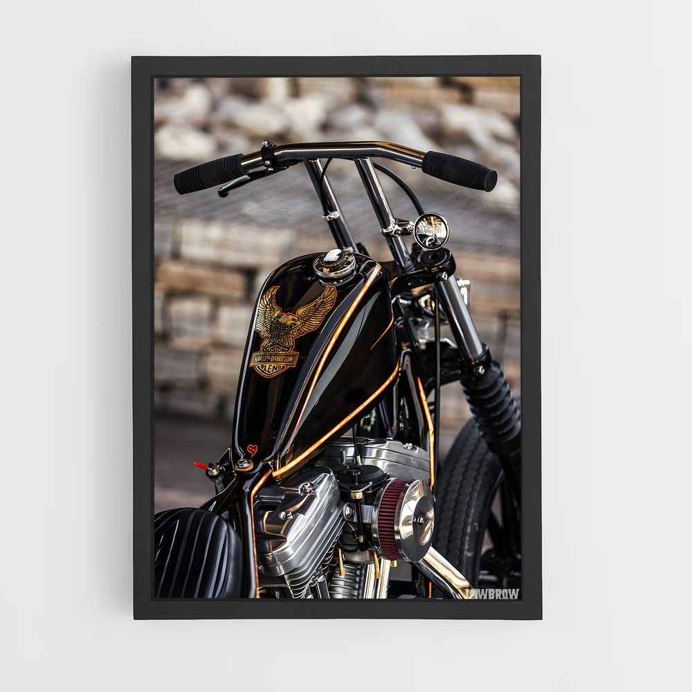 ap-sportster-4 cadre Noir
