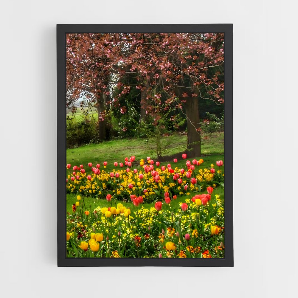 ap-spring-15 cadre Noir