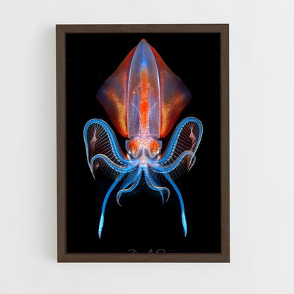 ap-squid-2 cadre Bois foncé