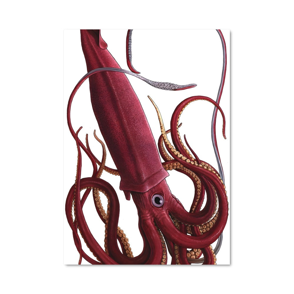 Poster Tentacules en Folie