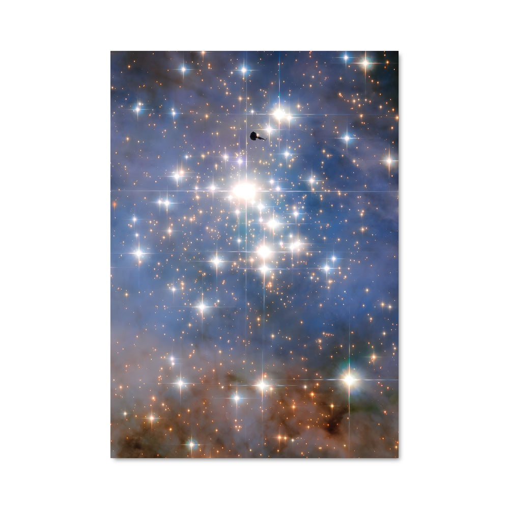 Poster Oiseau des Étoiles