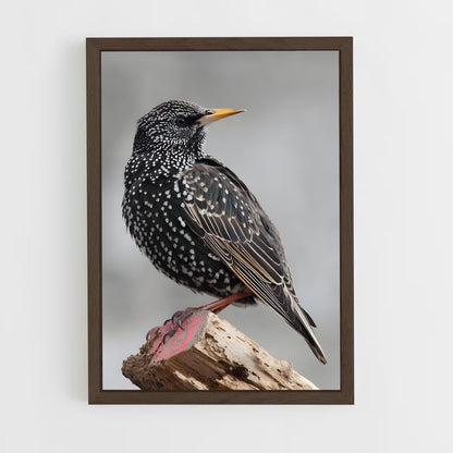 ap-starling-3 cadre Bois foncé