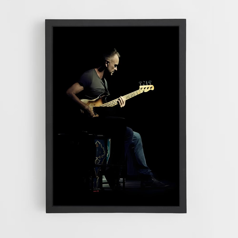 ap-sting-3 cadre Noir