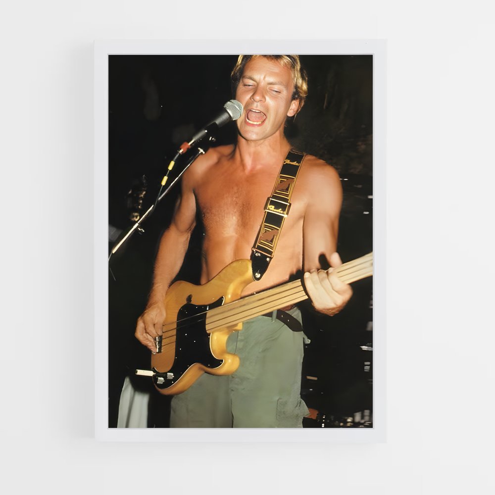 ap-sting-4 cadre Blanc