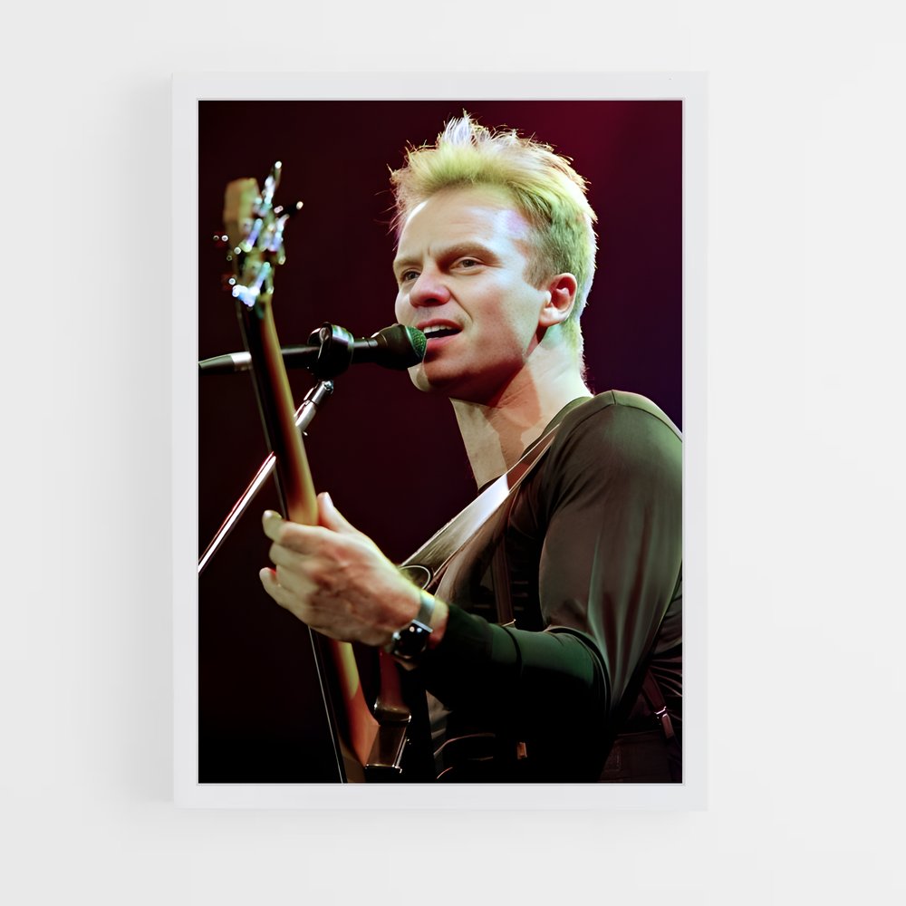 ap-sting-5 cadre Blanc