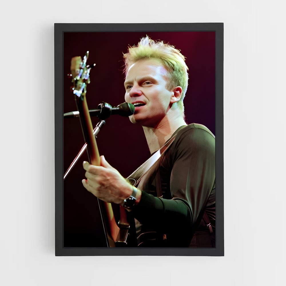 ap-sting-5 cadre Noir