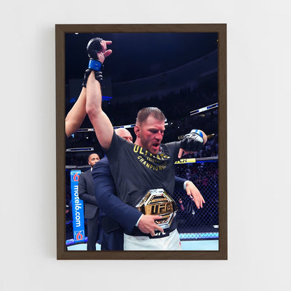 ap-stipe miocic-1 cadre Bois foncé