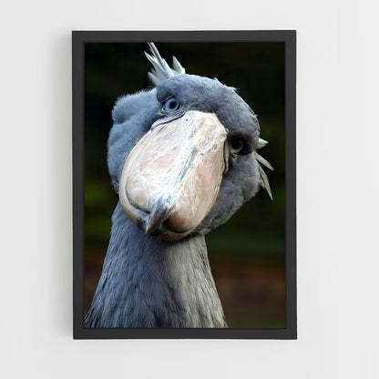 ap-stork-5 cadre Noir