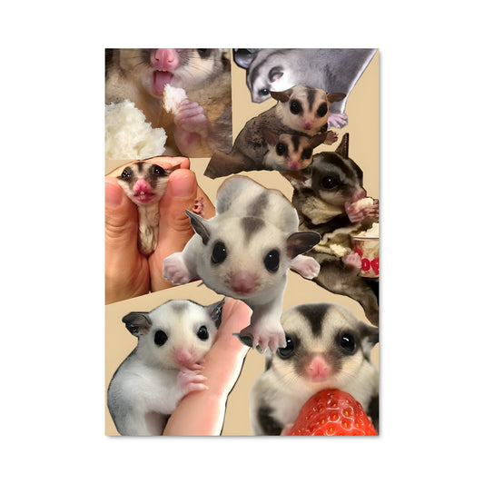 Poster Douceur de la Nuit