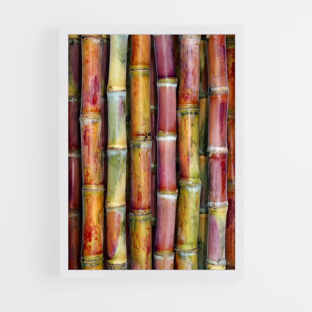 ap-sugarcane-12 cadre Blanc