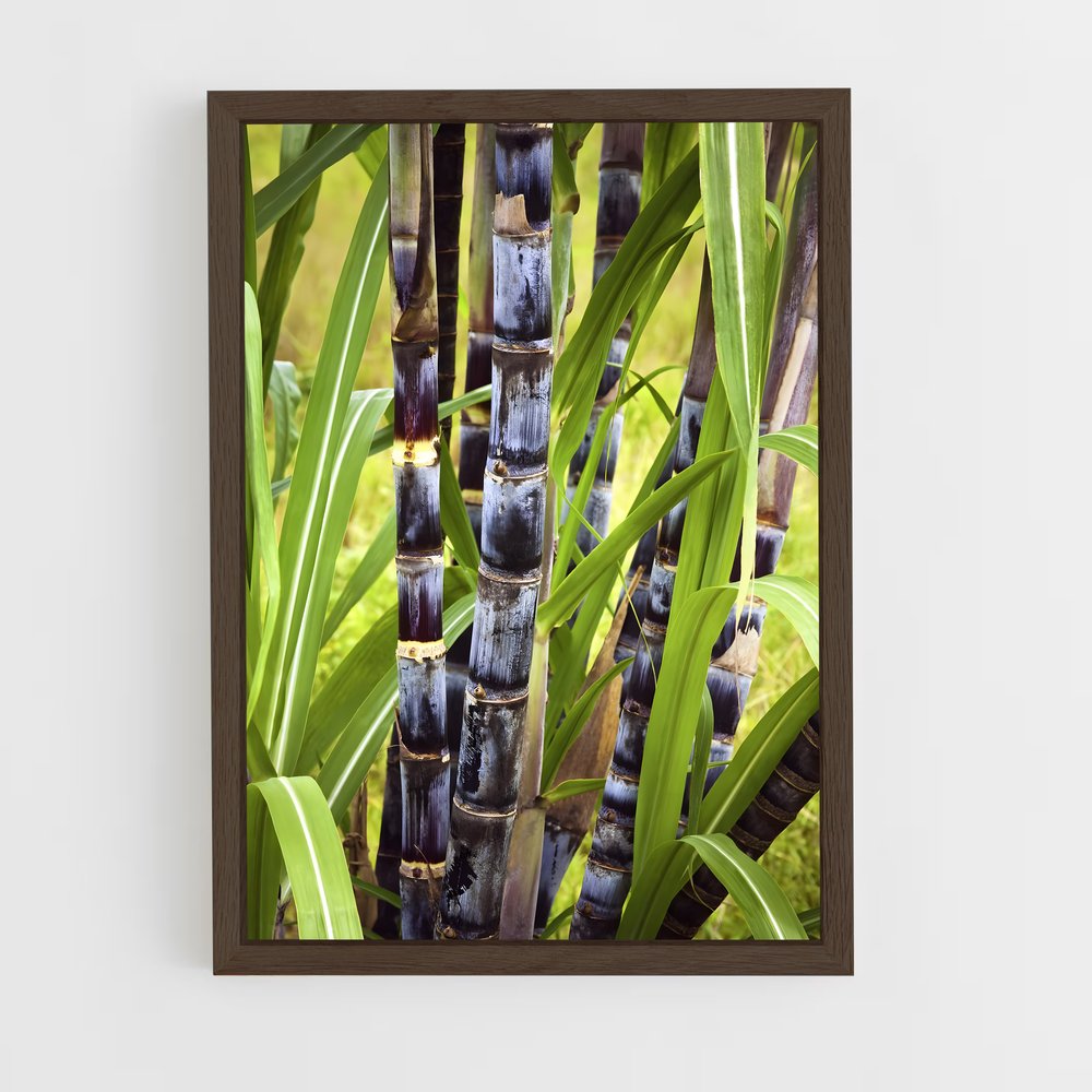ap-sugarcane-9 cadre Bois foncé