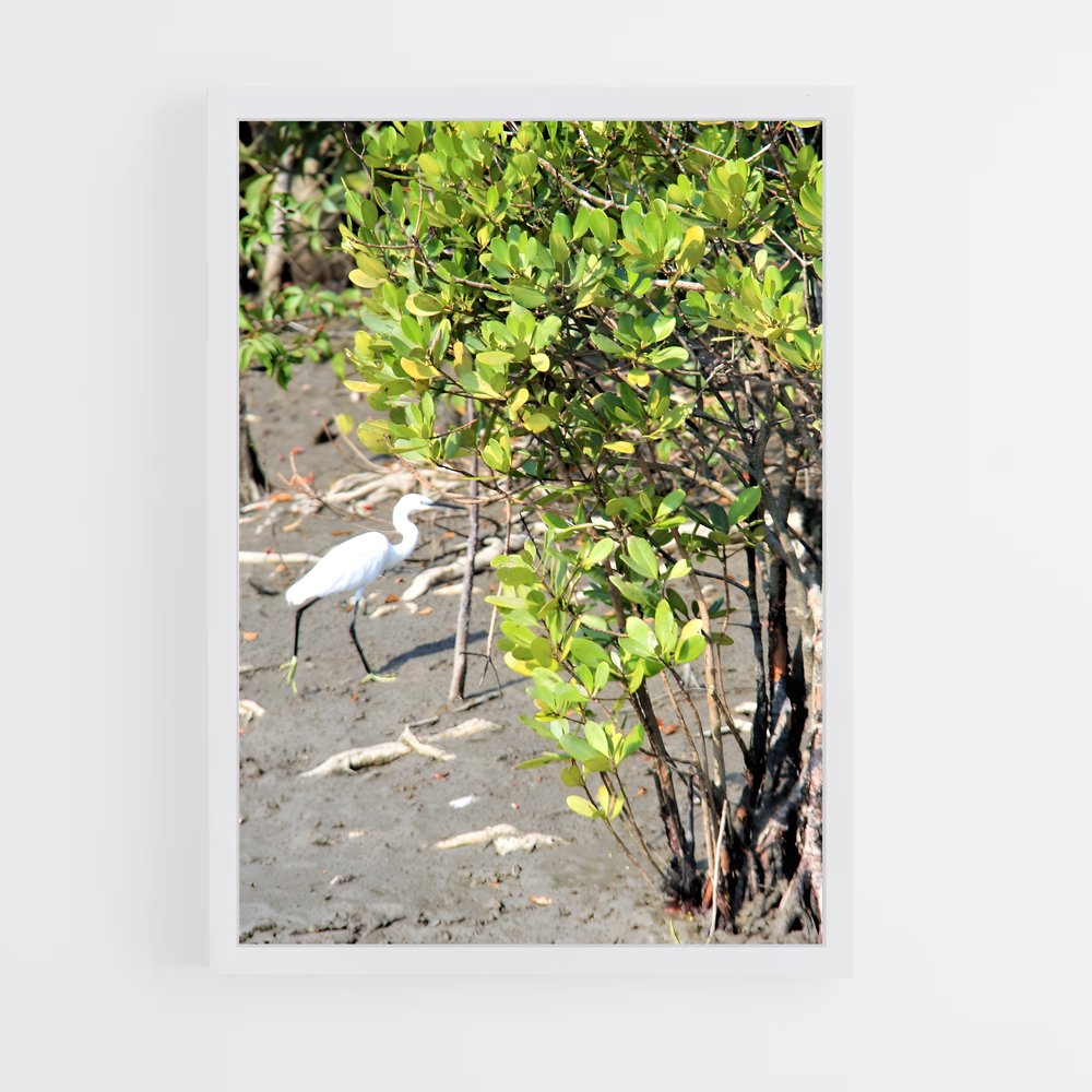 ap-sundarbans-7 cadre Blanc
