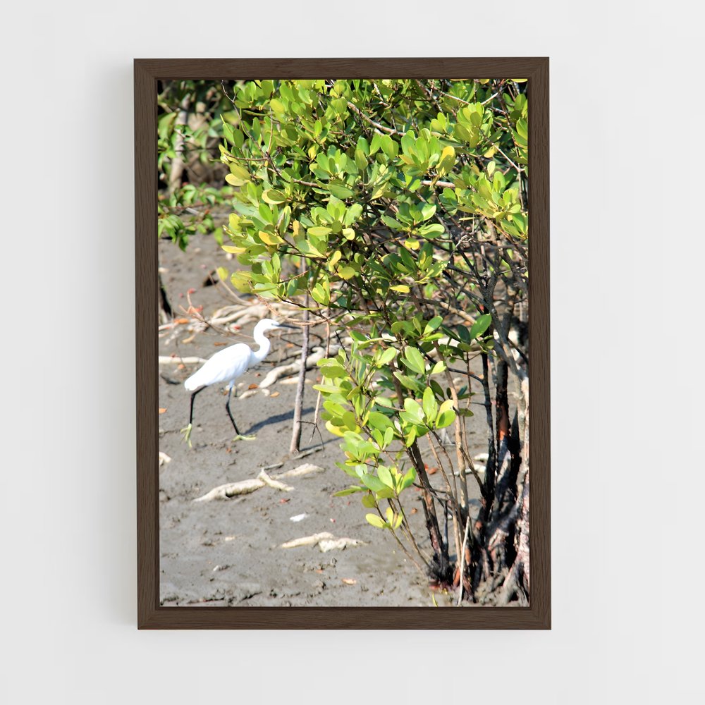 ap-sundarbans-7 cadre Bois foncé