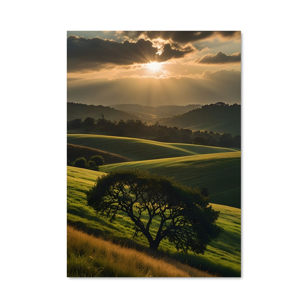 Poster Sunrise 97841