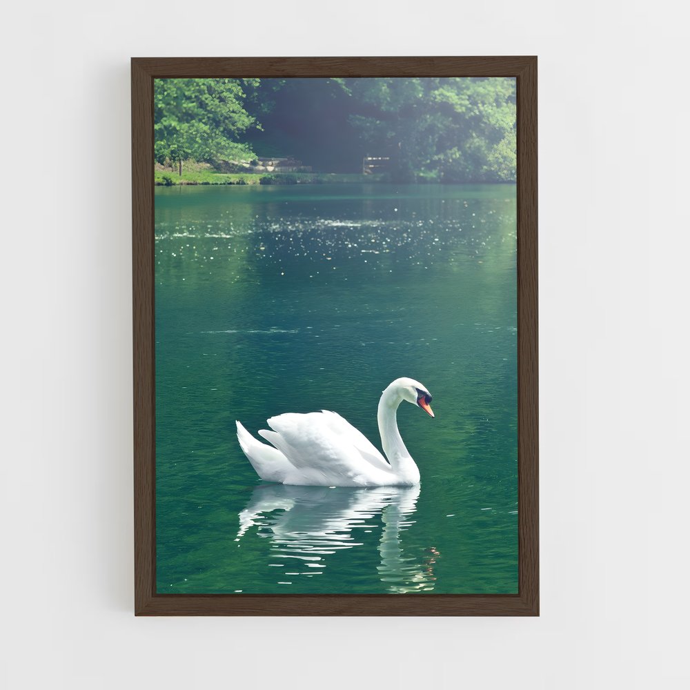 ap-swan-1 cadre Bois foncé