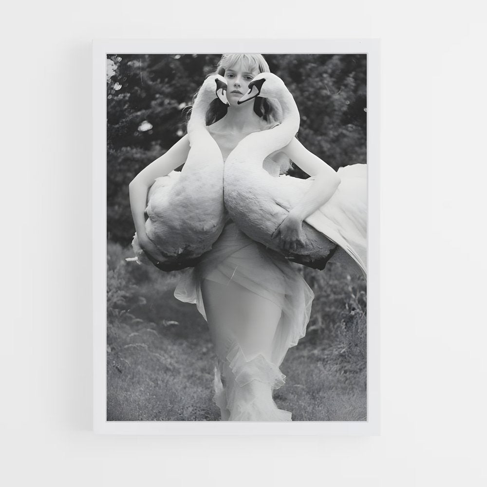 ap-swan-2 cadre Blanc