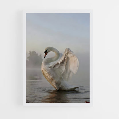 ap-swan-4 cadre Blanc