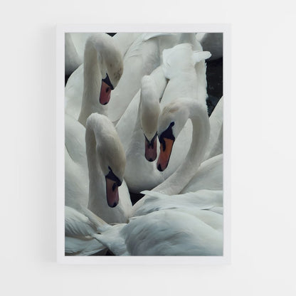 ap-swan-7 cadre Blanc