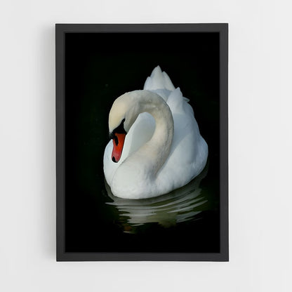 ap-swan-9 cadre Noir