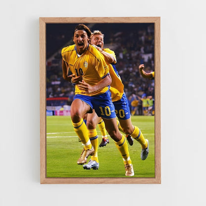 ap-sweden national football team-1 cadre Bois clair