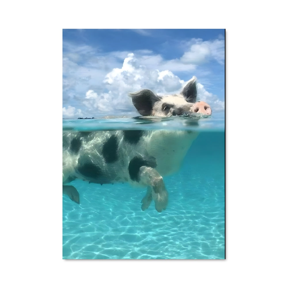 Poster Cochons de Mer