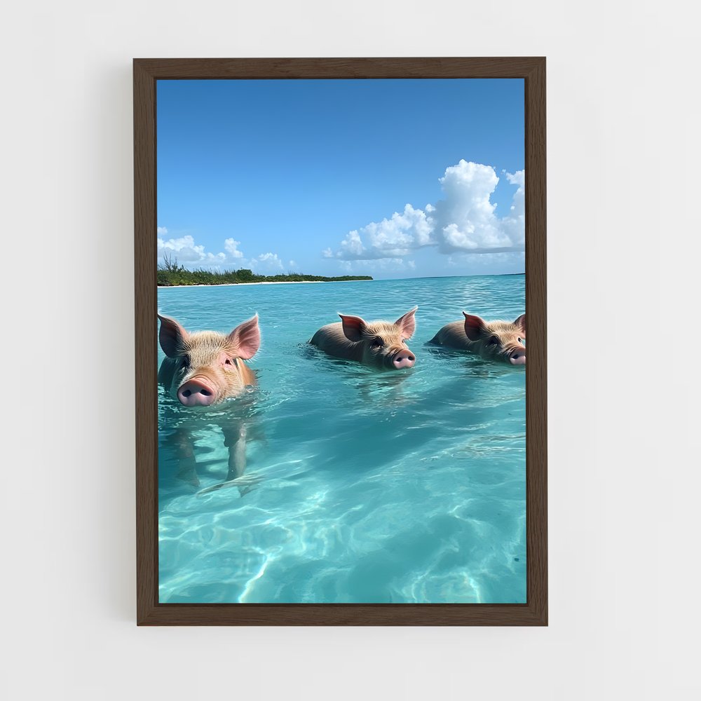 ap-swimming pigs beach-2 cadre Bois foncé