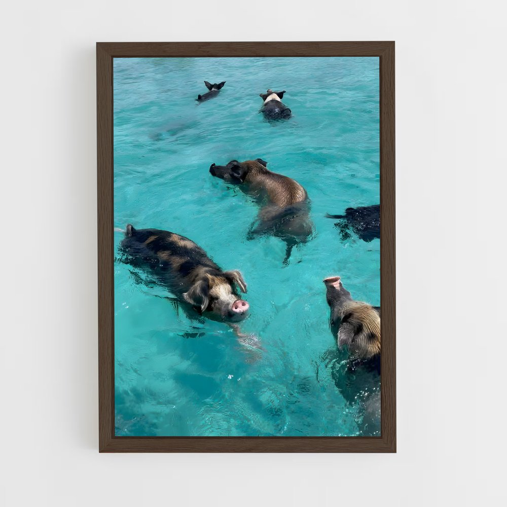 ap-swimming pigs beach-5 cadre Bois foncé