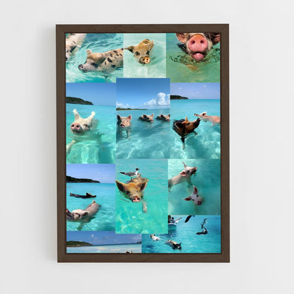 ap-swimming pigs beach-9 cadre Bois foncé