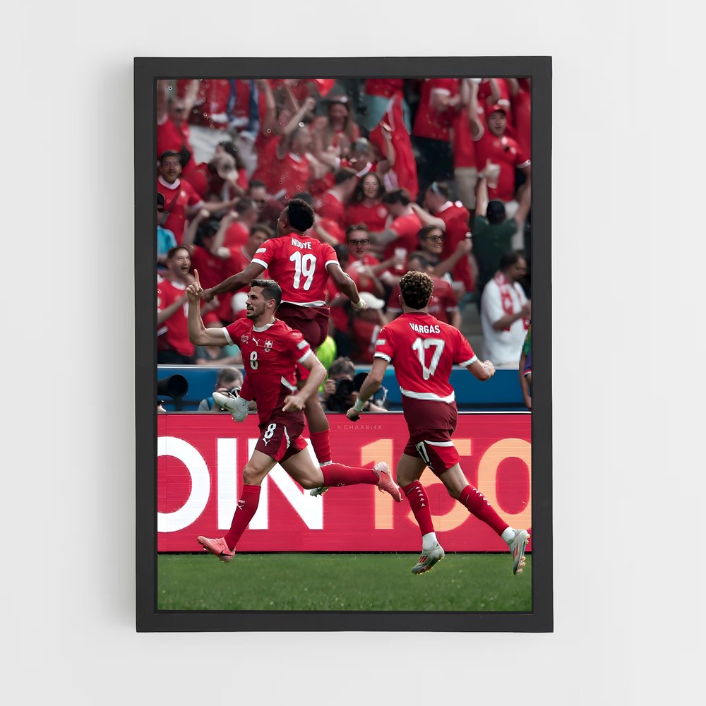 ap-switzerland national football team-2 cadre Noir