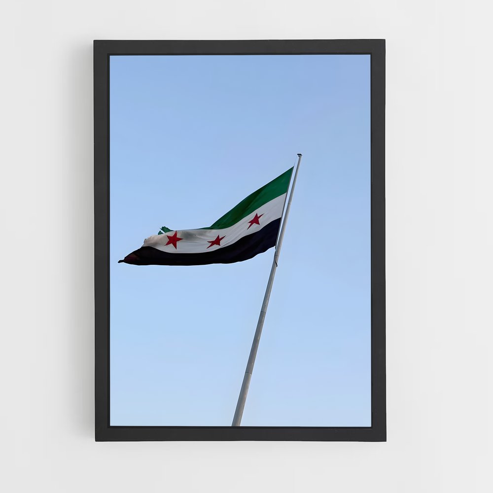 ap-syria flag-4 cadre Noir