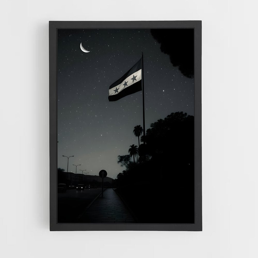 ap-syria flag-9 cadre Noir