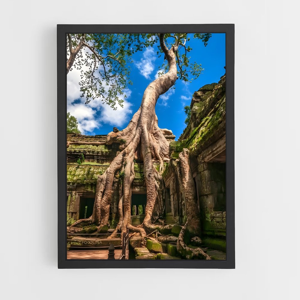 ap-ta prohm-1 cadre Noir