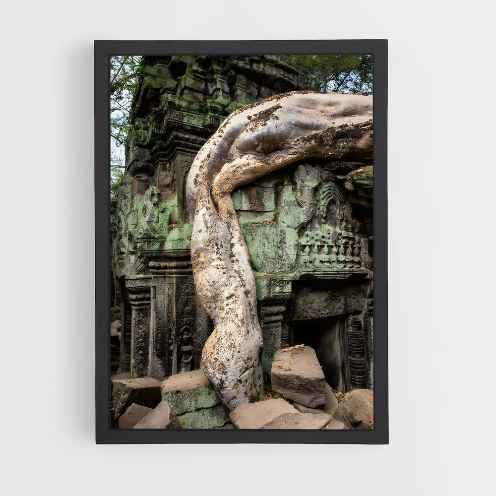ap-ta prohm-5 cadre Noir