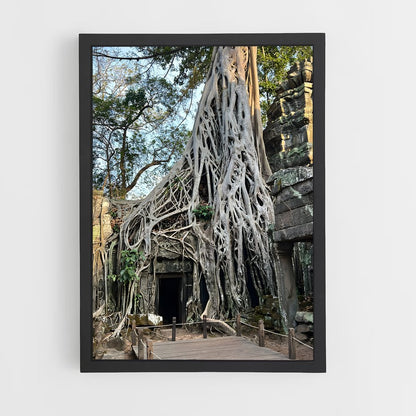 ap-ta prohm-6 cadre Noir