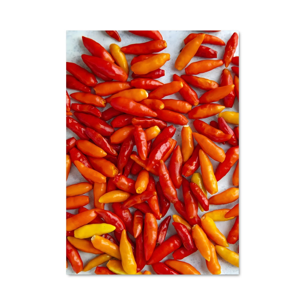 Poster Hot Chili Vibes