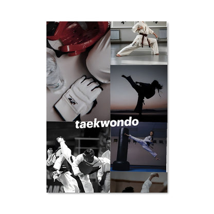 Poster Maître du Taekwondo