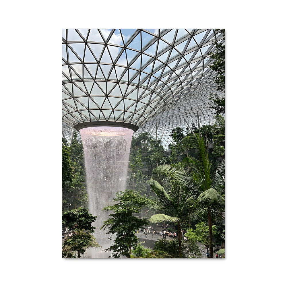 Poster Forêt Suspendue