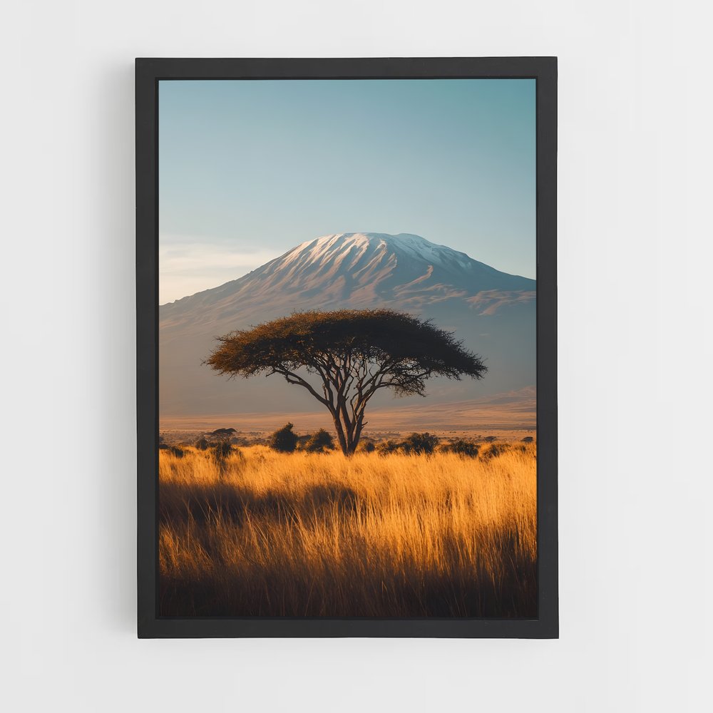 ap-tanzania-3 cadre Noir