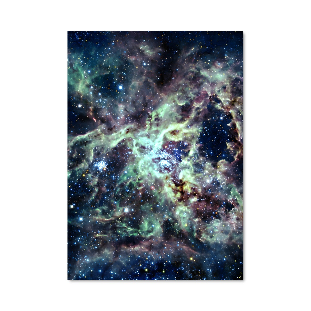 Poster La Nébuleuse Tara