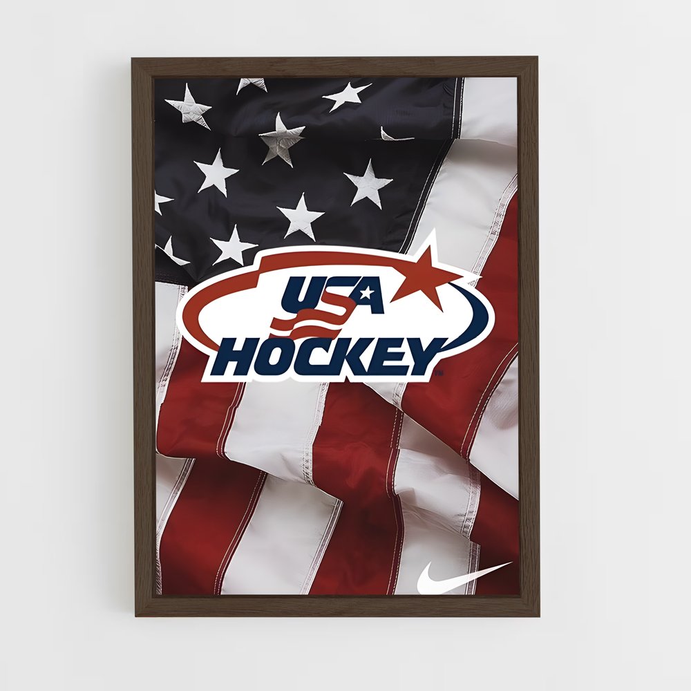 ap-team usa hockey-1 cadre Bois foncé