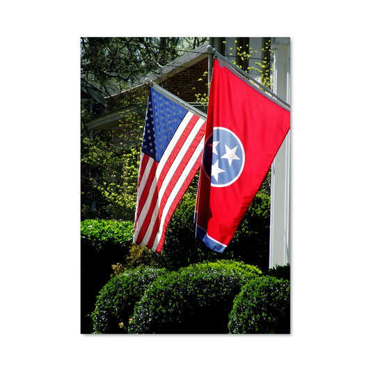 Poster Dualité Tennesseenne