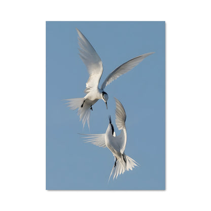 Poster Ciel des Oiseaux