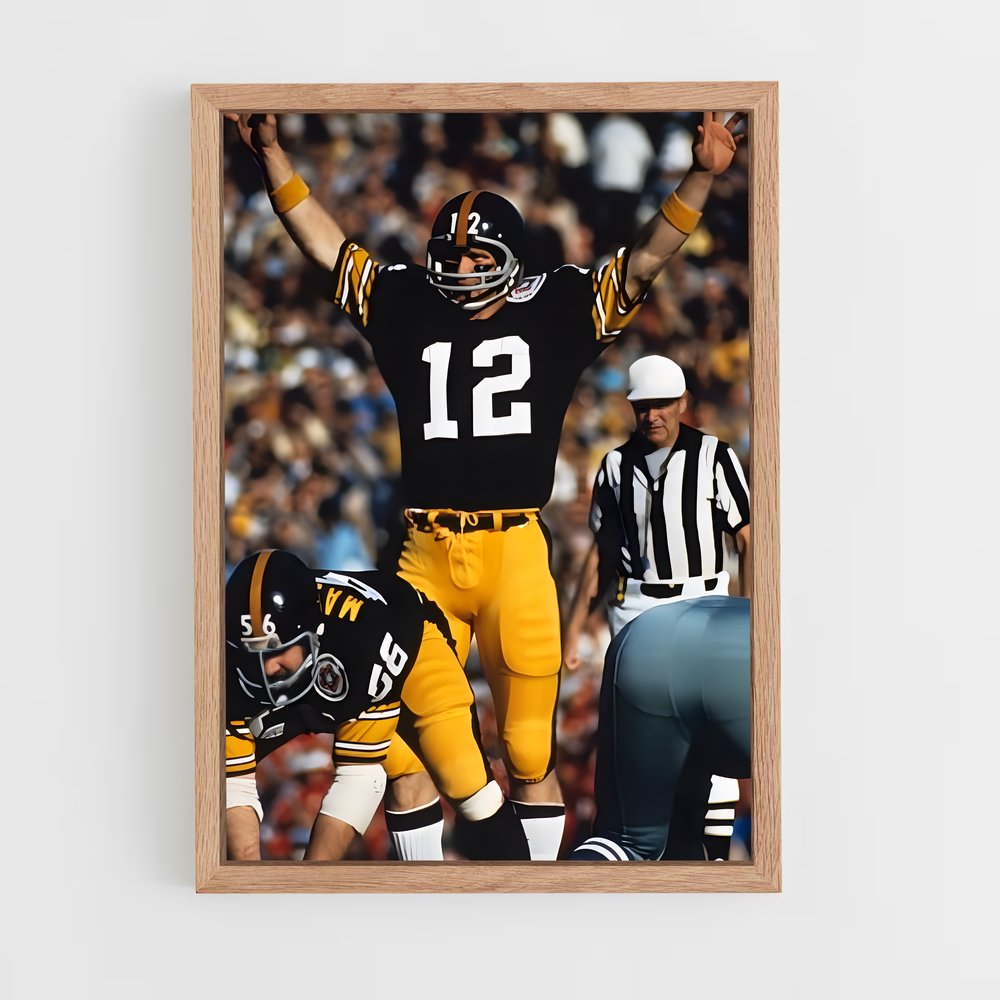 ap-terry bradshaw-1 cadre Bois clair