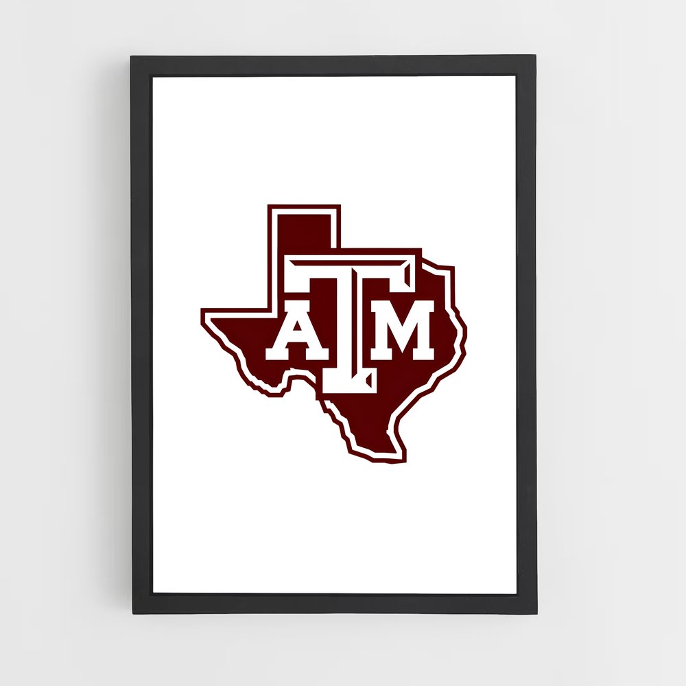 ap-texas aandm aggies-3 cadre Noir