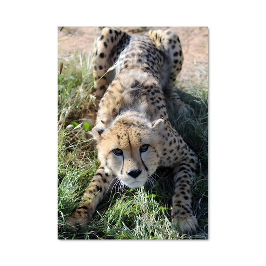 Poster Chemin de Teyateyaneng