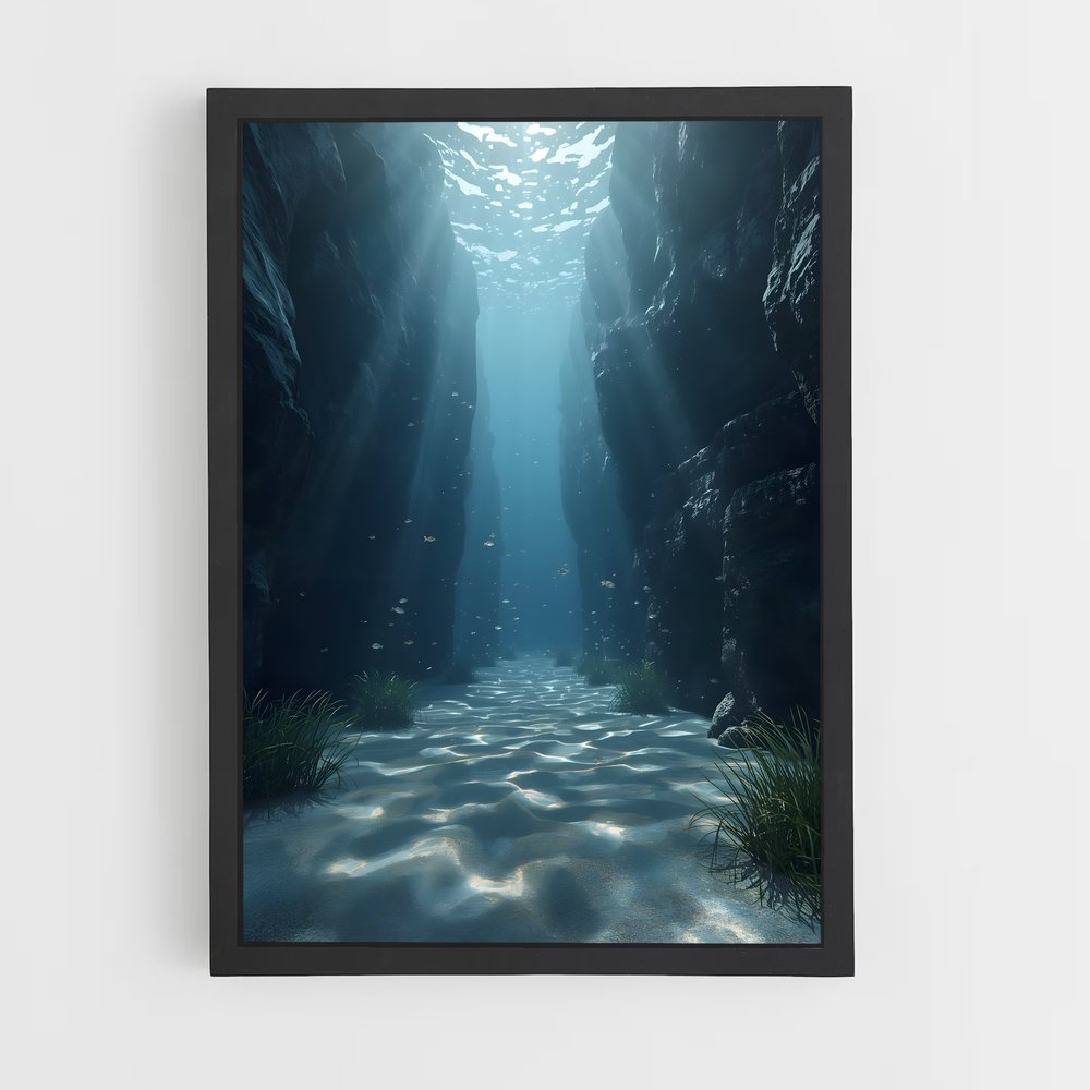 ap-the shape of water-9 cadre Noir