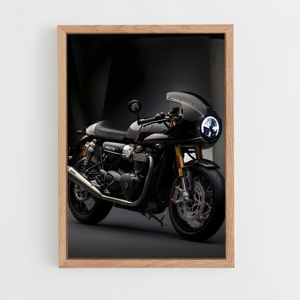 ap-thruxton rs-5 cadre Bois clair