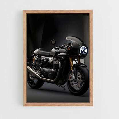 ap-thruxton rs-5 cadre Bois clair