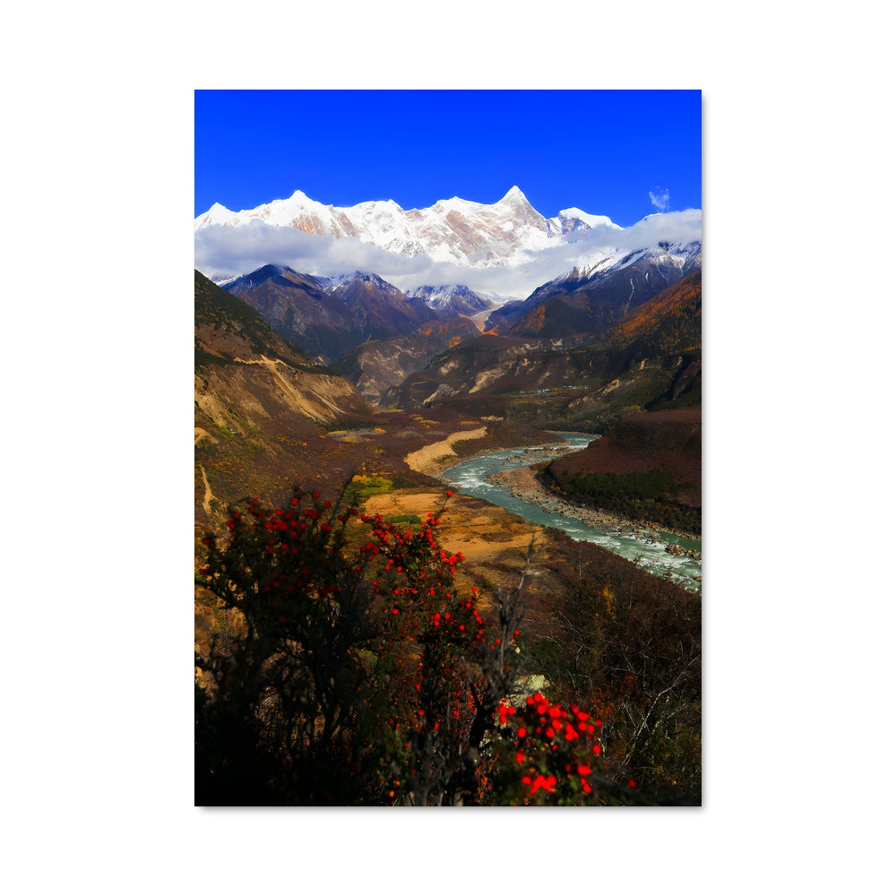 Poster Tibet 87888